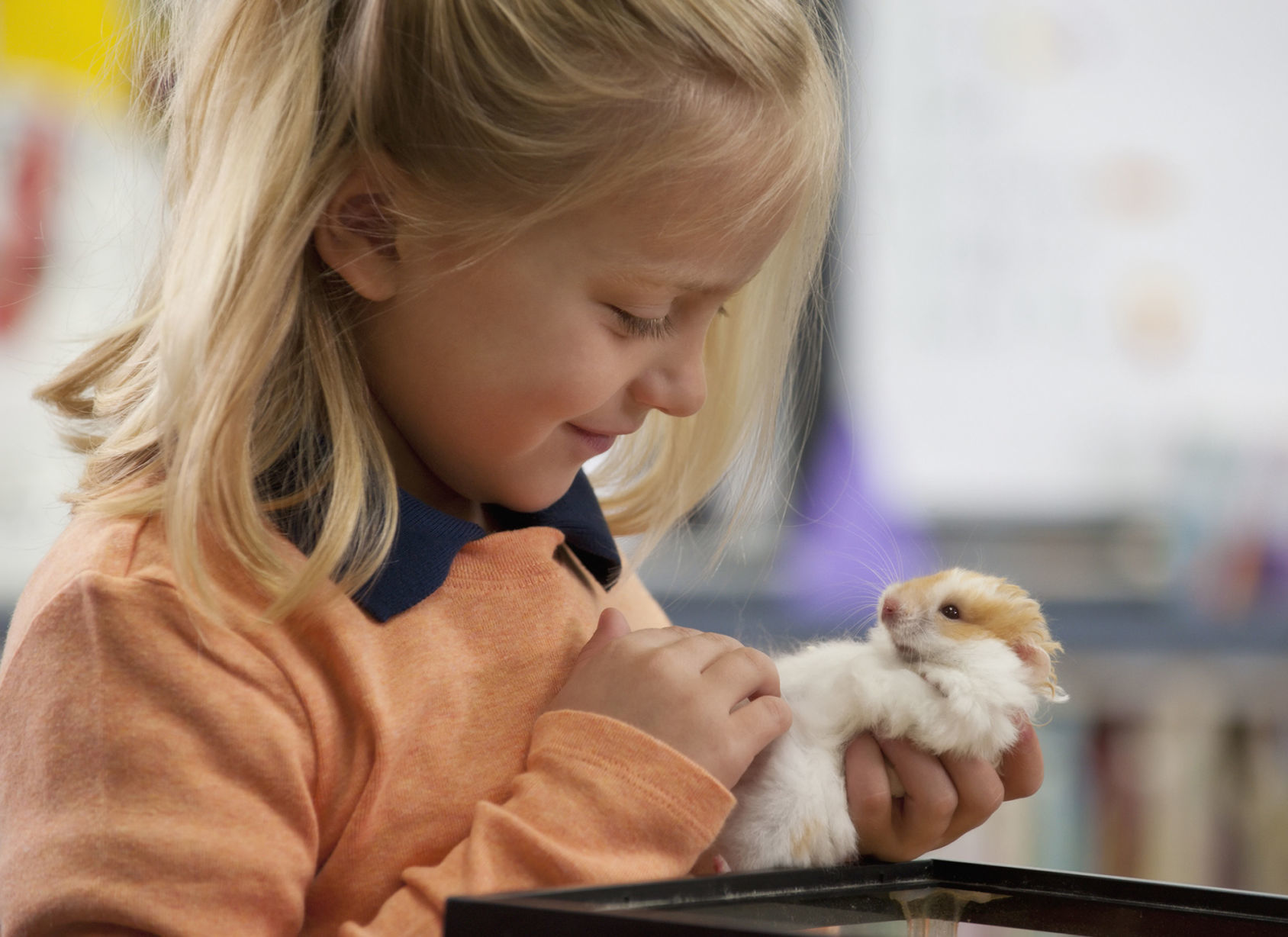 What’s the right animal for your lifestyle?